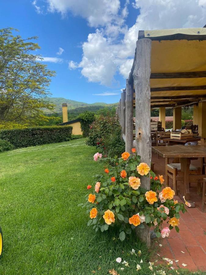 Agriturismo Santa Lorica Sassetta Buitenkant foto