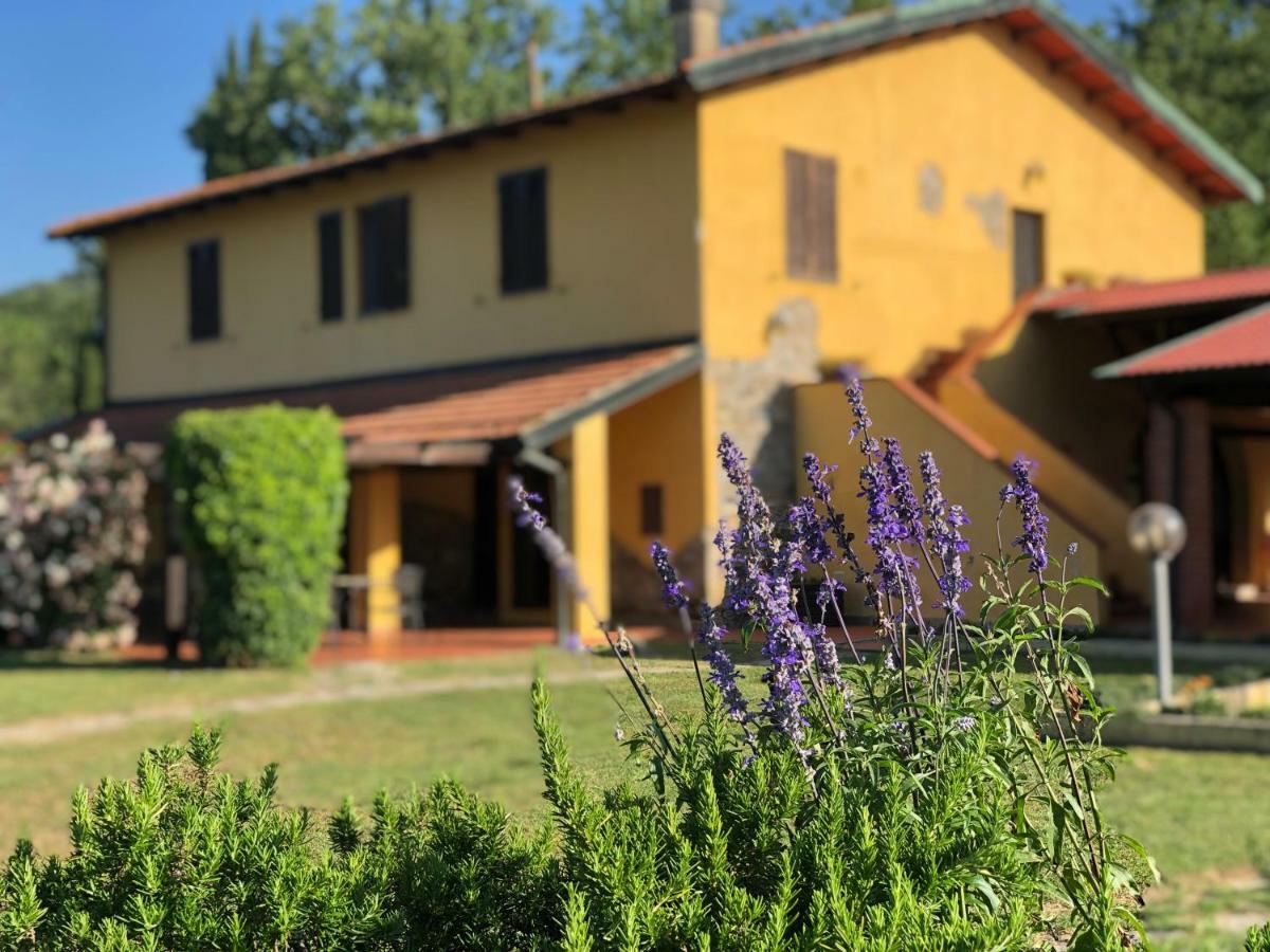 Agriturismo Santa Lorica Sassetta Buitenkant foto