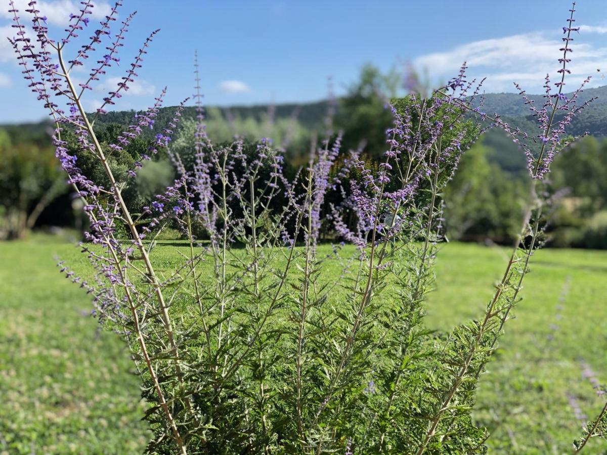 Agriturismo Santa Lorica Sassetta Buitenkant foto